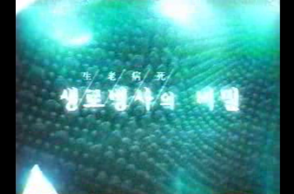 158e588611b2a83ec2007b370ccac48d_1526373273_69.png