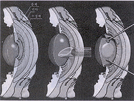 d1554e5ff6a1afbcece4888e60822b7f_1526282102_51.png