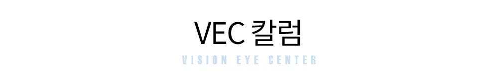 VEC칼럼